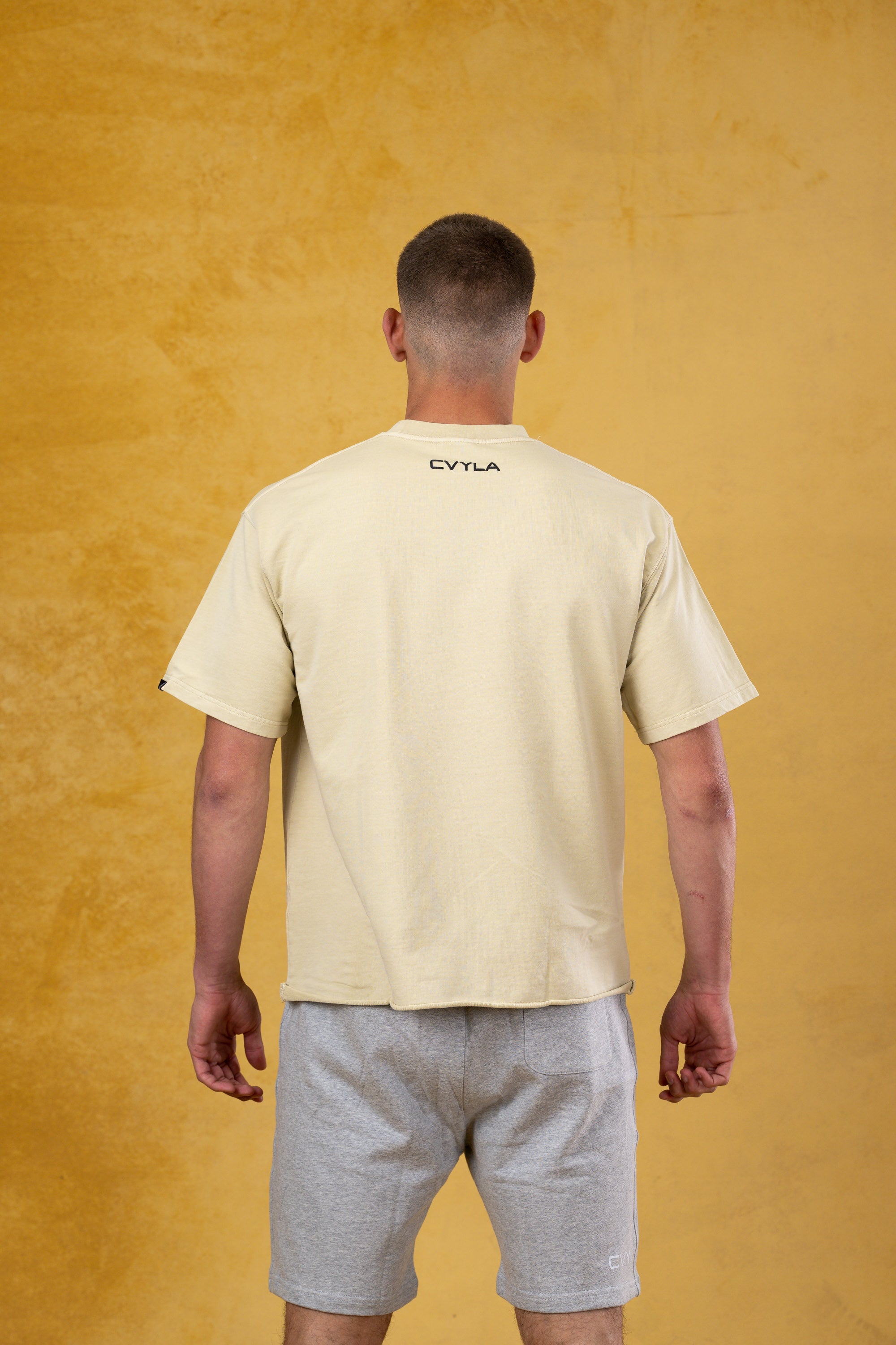 CVYLA Men Gray Apricot Tee, product photo 9