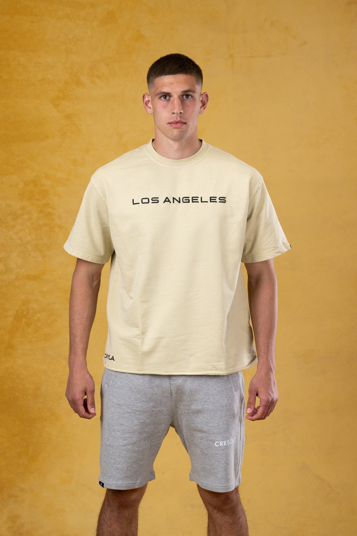 CVYLA Men Gray Apricot Tee, product photo 6
