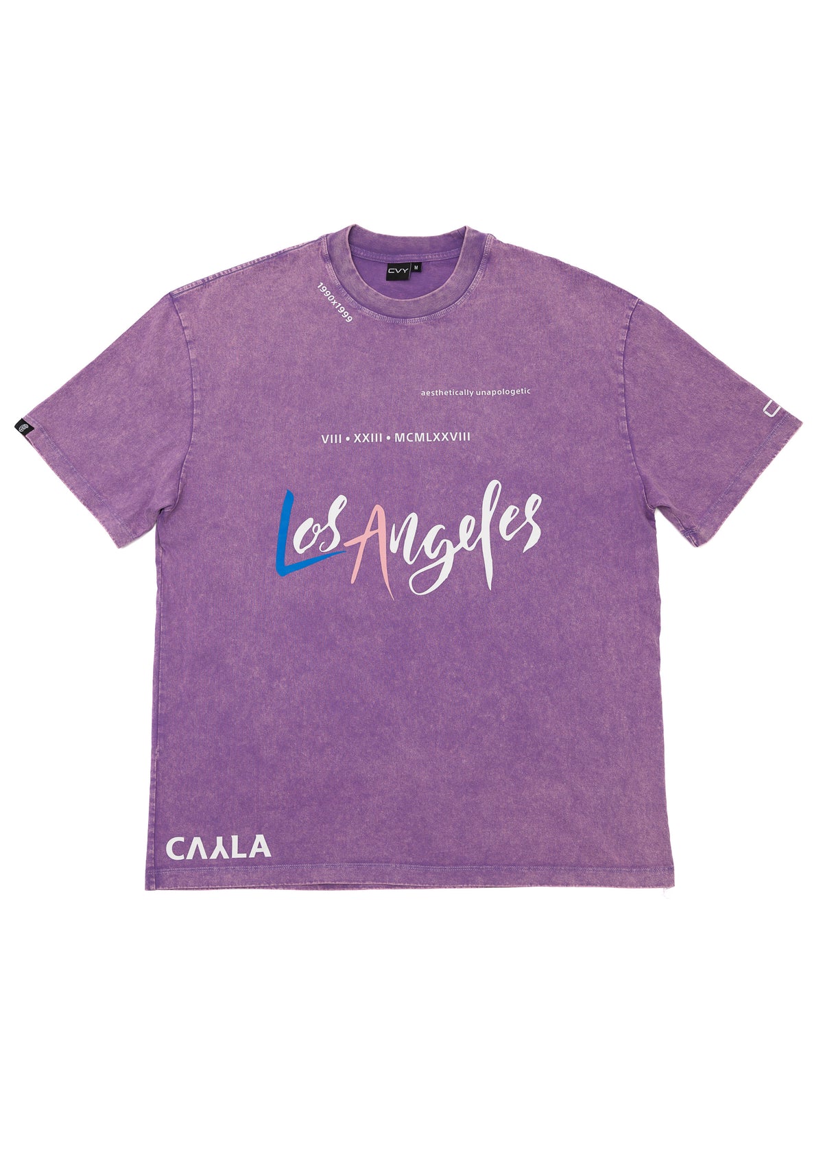 CVYLA Women Aesthetically Unapologetic Oversize Cotton Tee, product photo 13