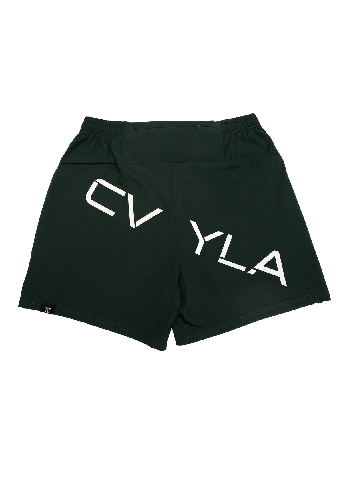 CVYLA Men Mission Training Shorts, product photo 5
