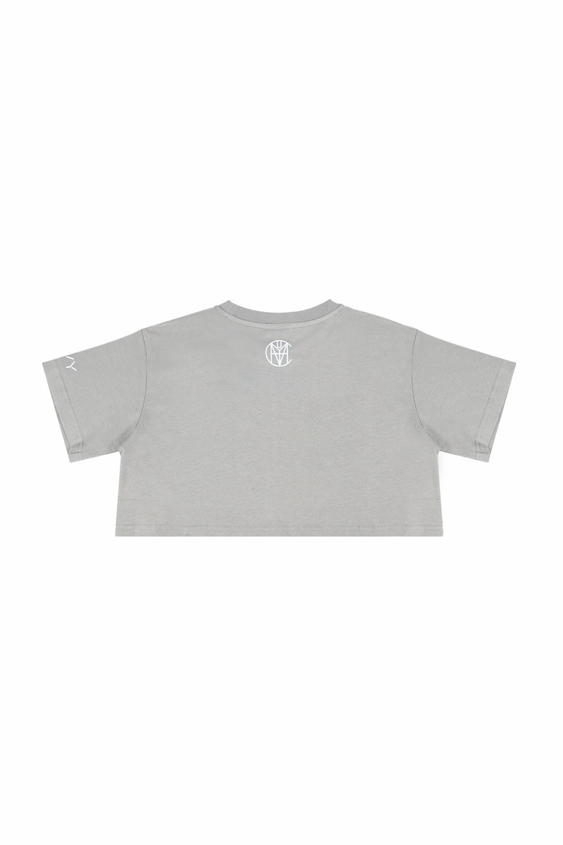 CRKSOLY. Gray Crop Top